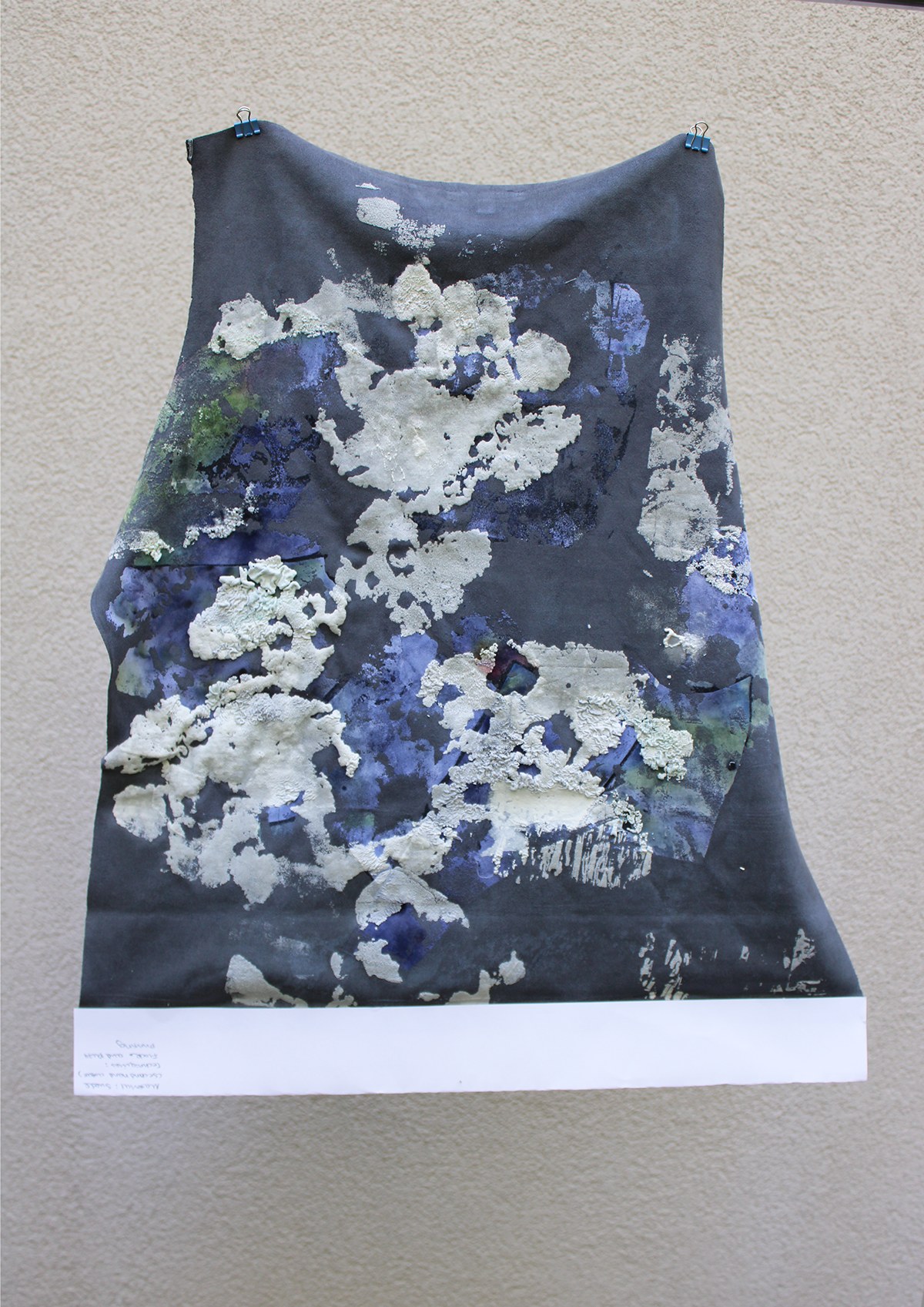 Mould Grow On Me detail 14
