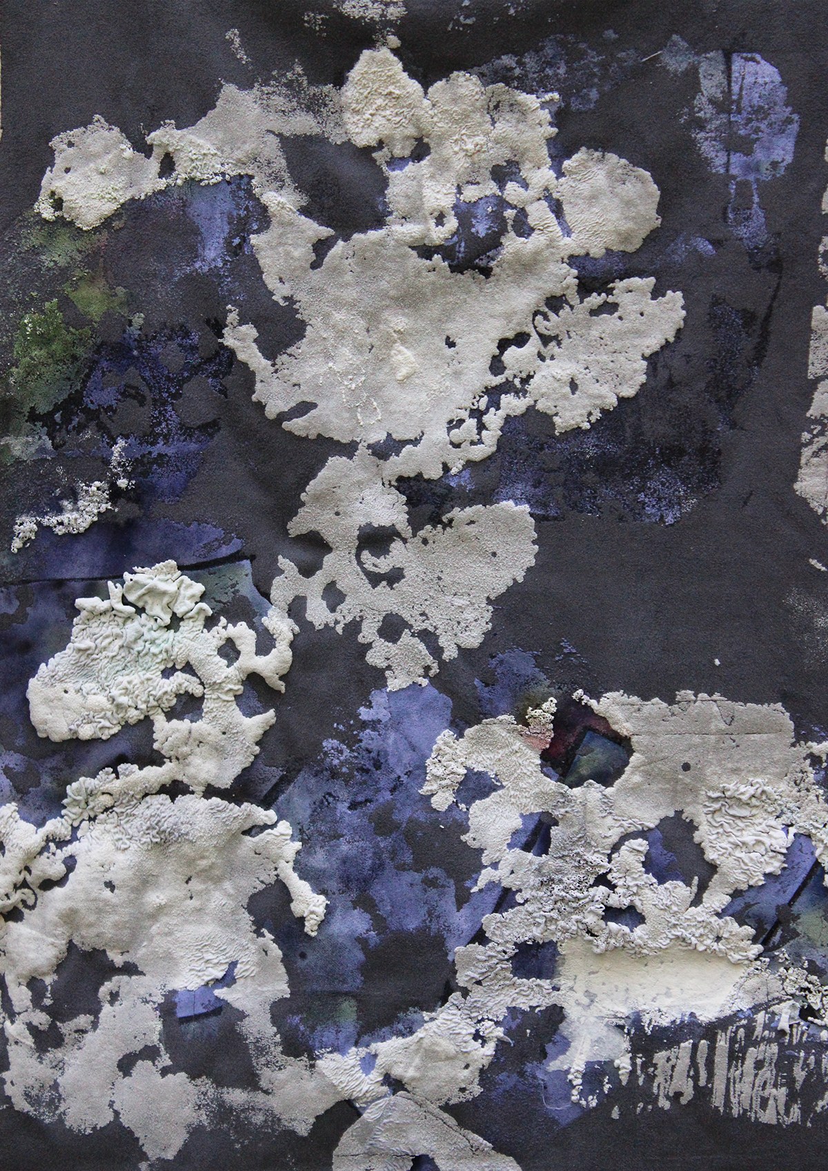 Mould Grow On Me detail 16