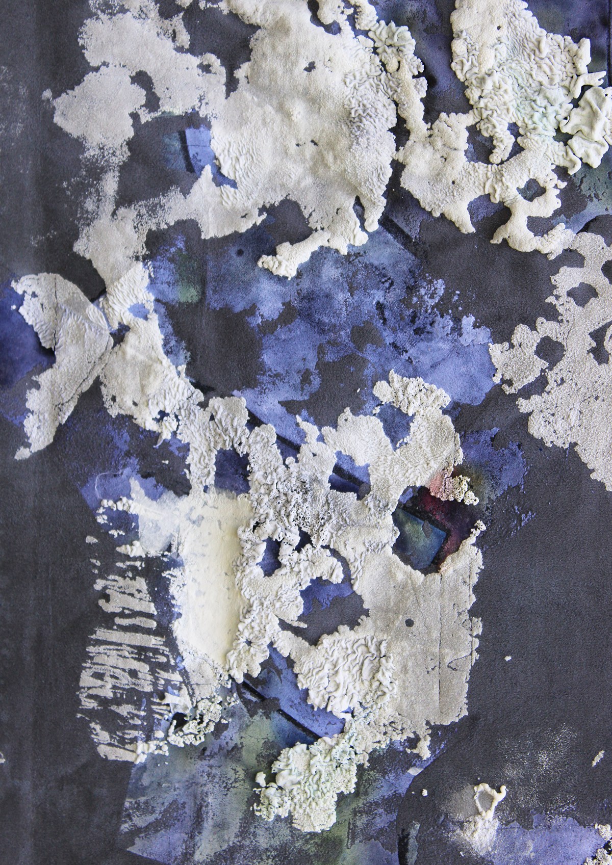 Mould Grow On Me detail 17