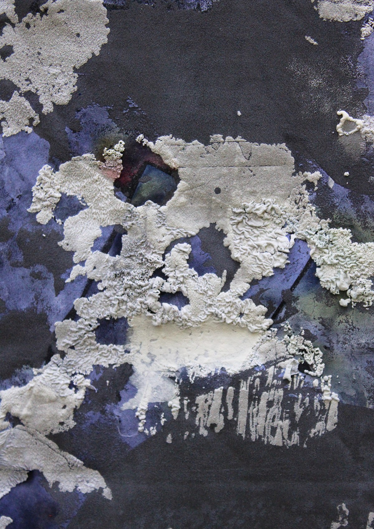 Mould Grow On Me detail 18
