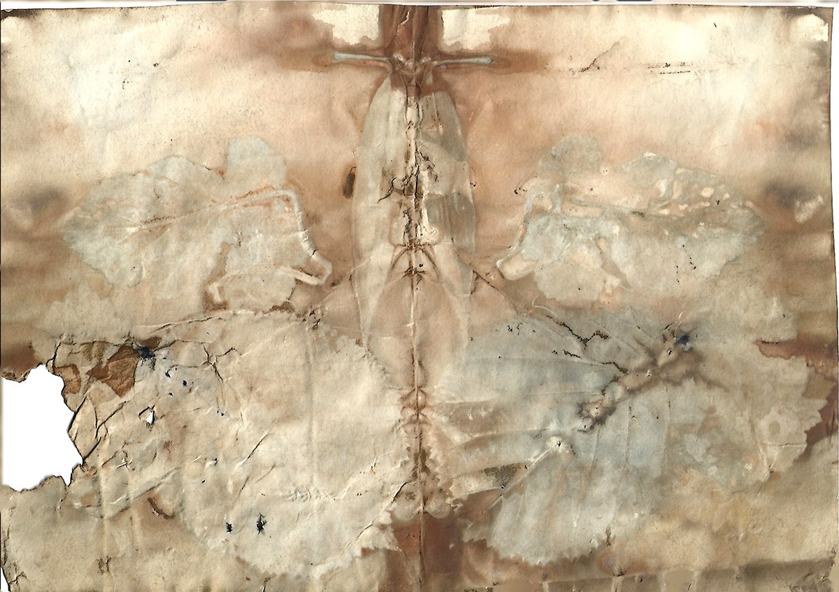 Sericulture detail 8