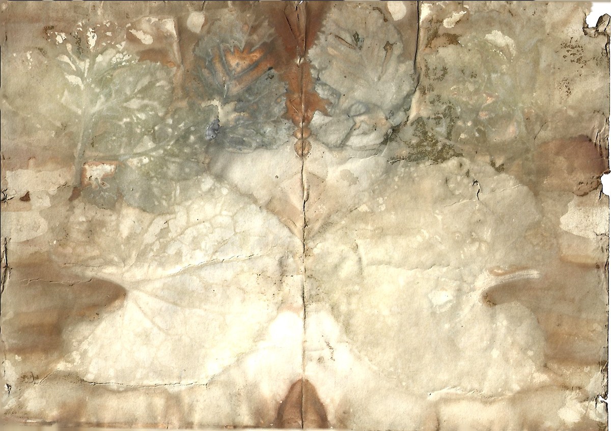 Sericulture detail 10