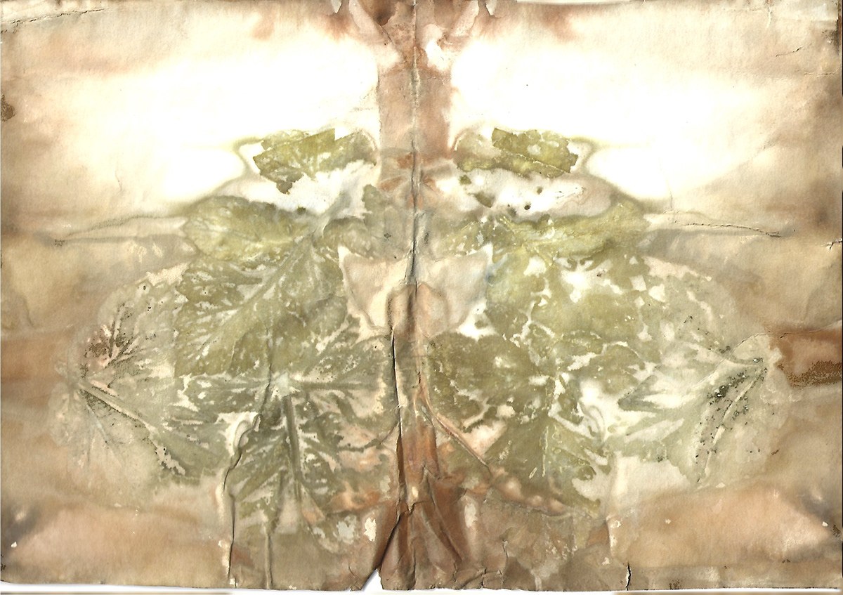 Sericulture detail 12