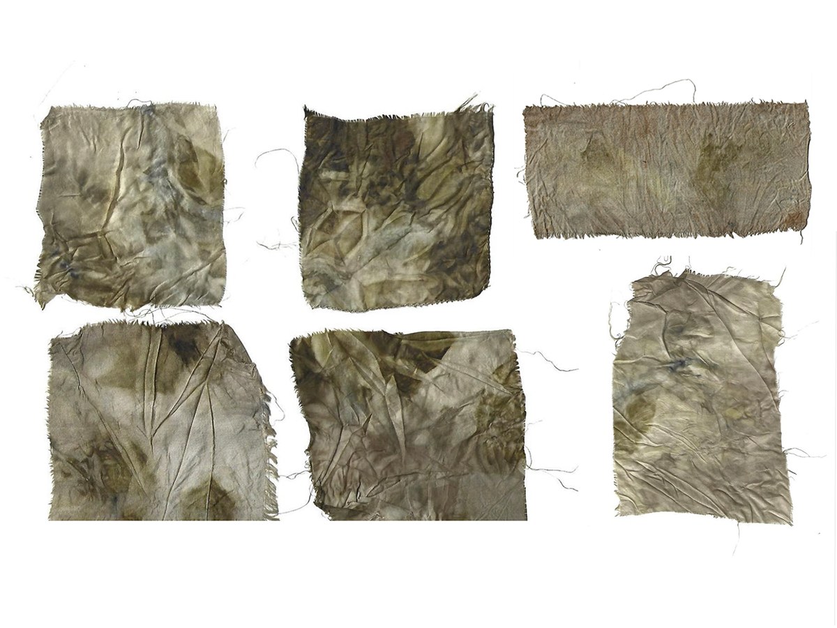 Sericulture detail 13