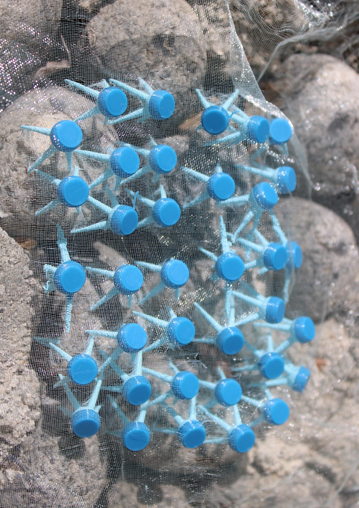 Soft Spikes Unveiled detail 12