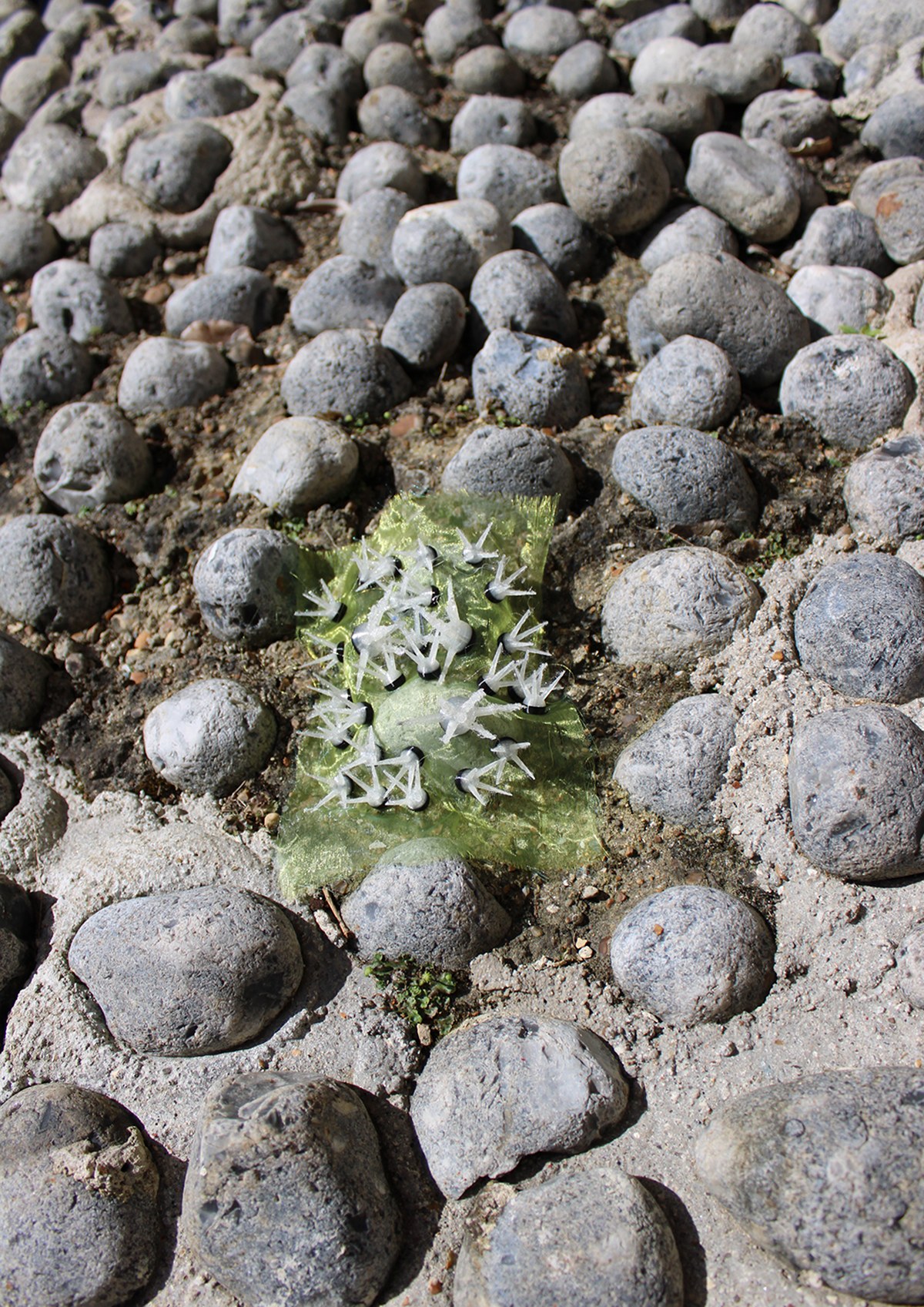 Soft Spikes Unveiled detail 13