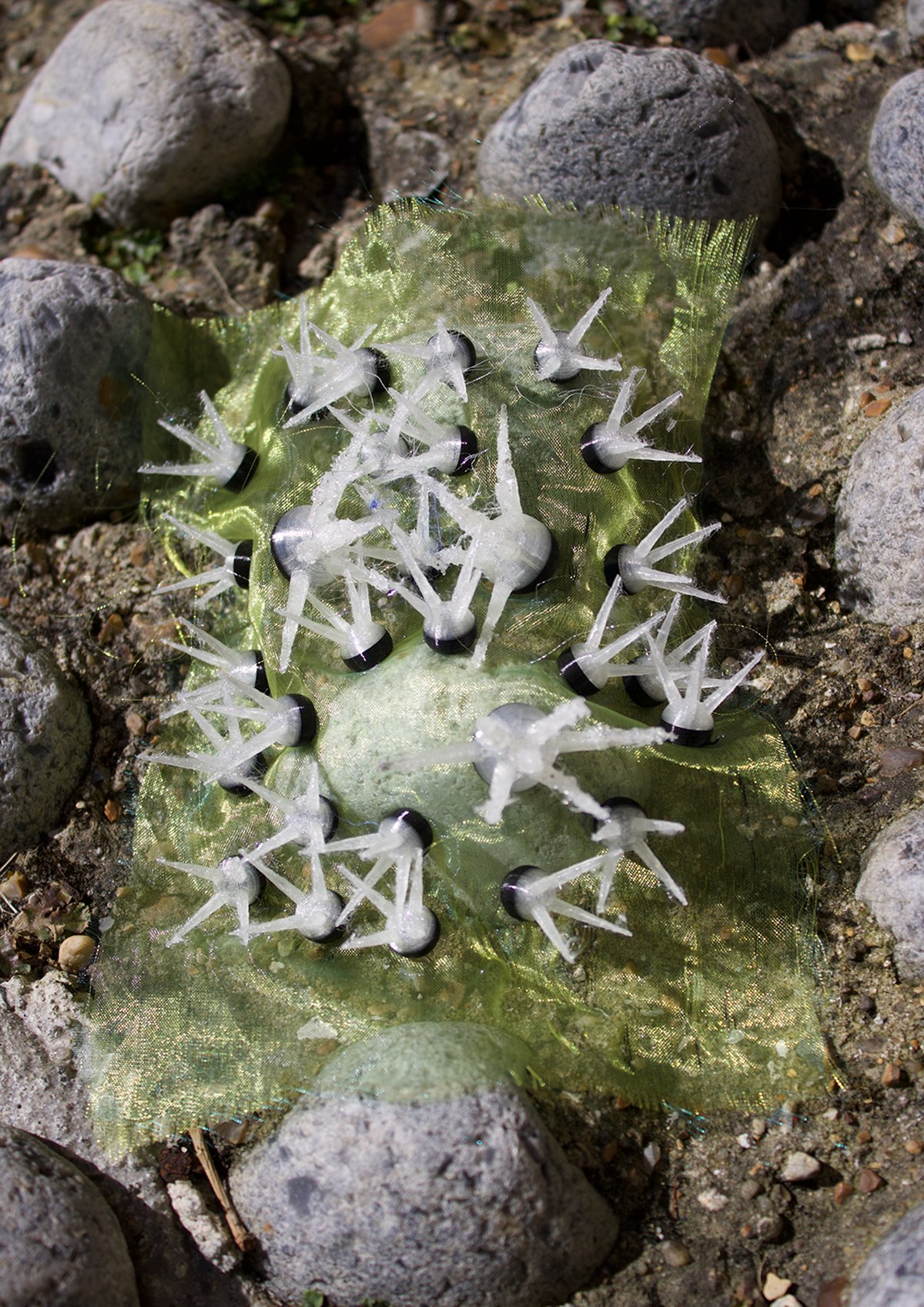 Soft Spikes Unveiled detail 14