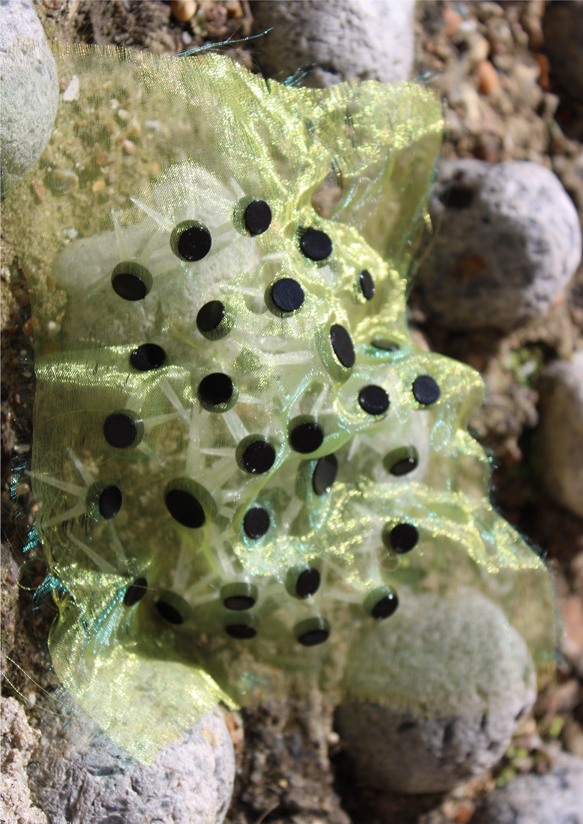 Soft Spikes Unveiled detail 15
