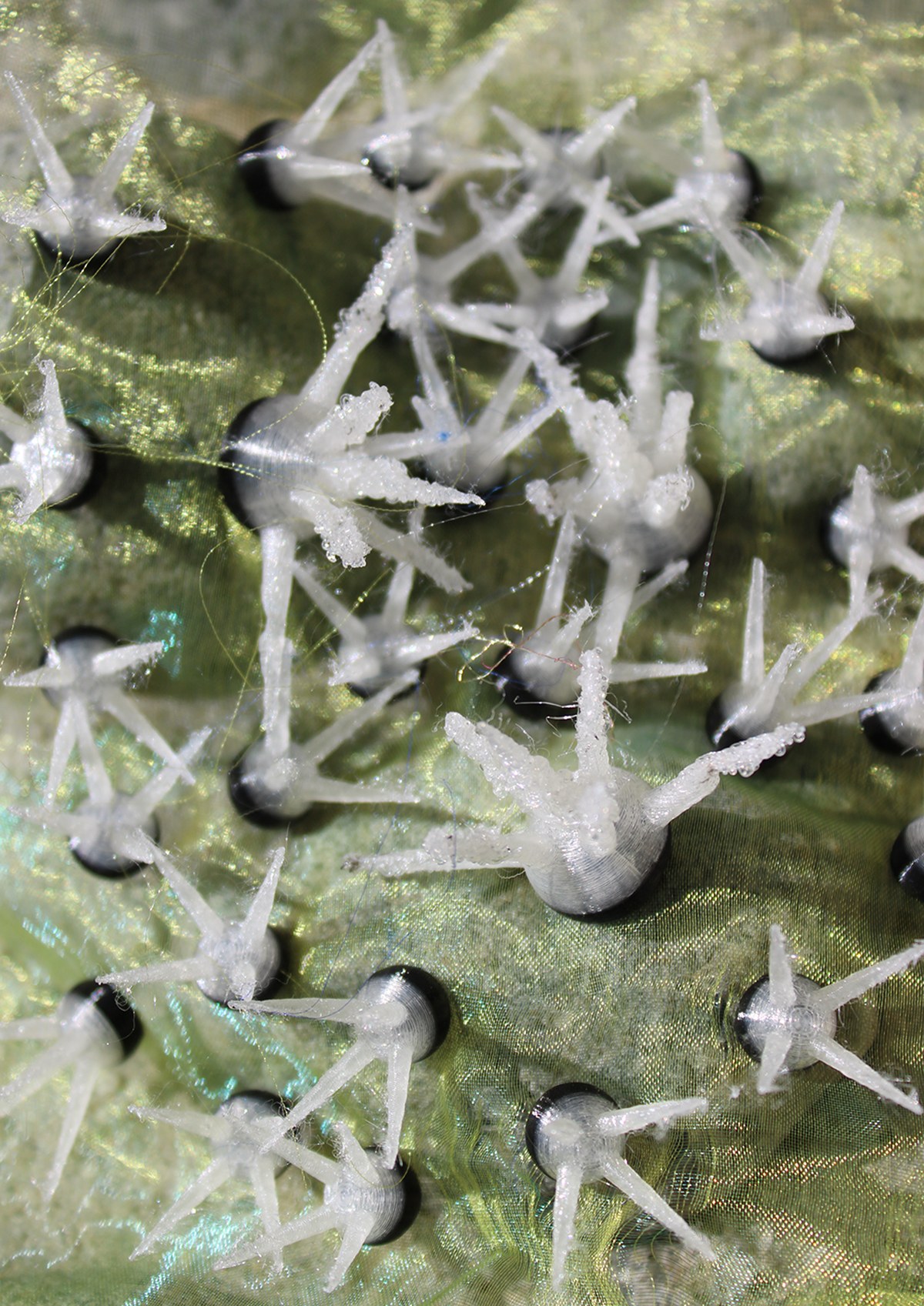 Soft Spikes Unveiled detail 16