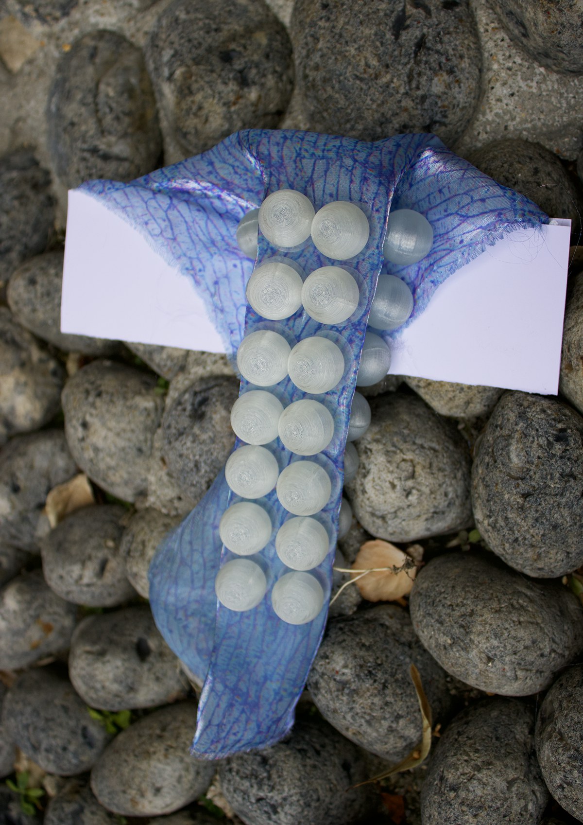 Soft Spikes Unveiled detail 20