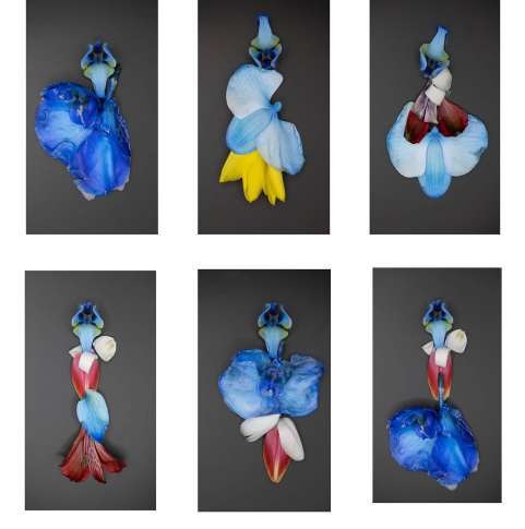 Symphony of Survival flower fashion illustrations 48